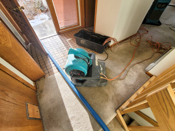 Best Basement Water Damage Restoration in USA